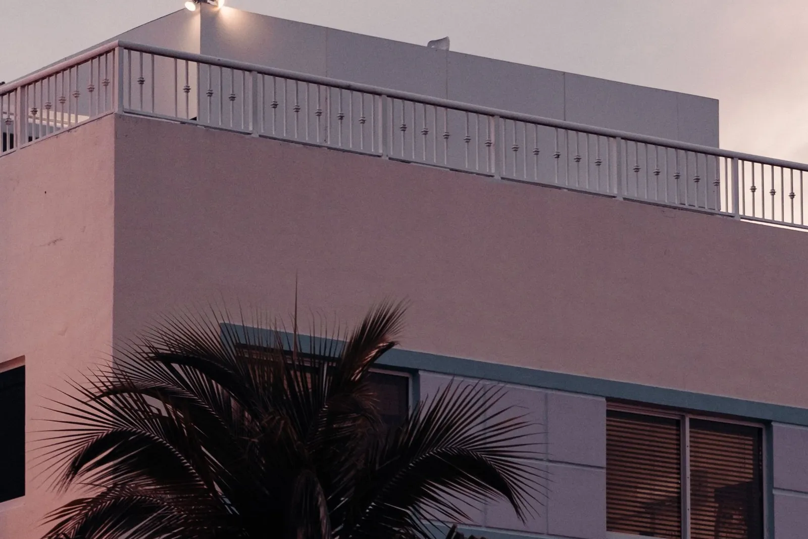 Pink facade of a Miami residential building with a palm tree at dusk