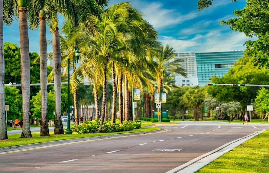 A palm-lined avenue with a bike lane and people running along the path, with a glass building beyond