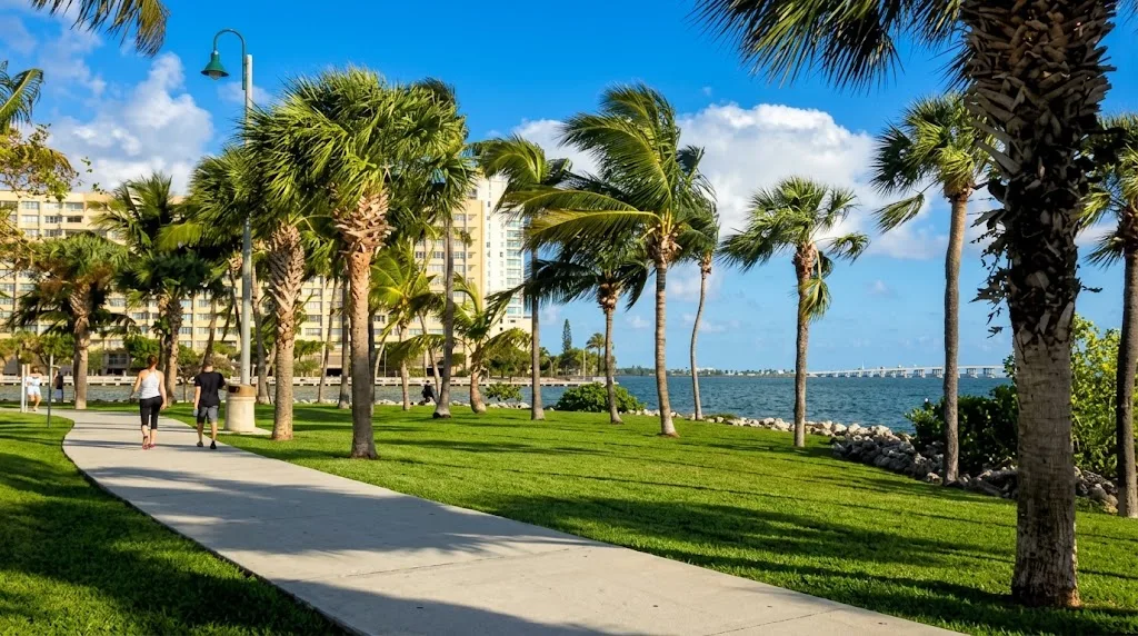 A footpath between lawns and palm trees by the bay, with an apartment building and a bridge in the distance
