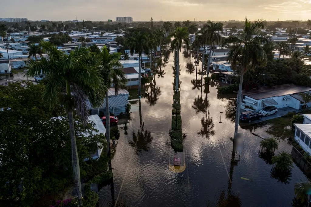 Aerial view of a flooded residential street lined with palm trees, with low houses and cars standing in the water at sunset