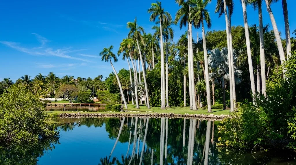 A calm lake with tall royal palms reflected in the water, lawn and tropical vegetation under a blue sky